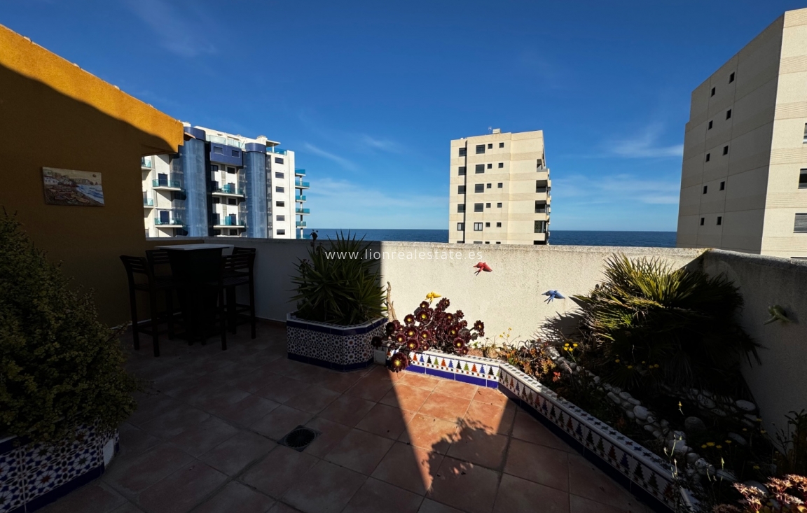 Short Term Rental - Apartment / flat - Torrevieja - Punta Prima