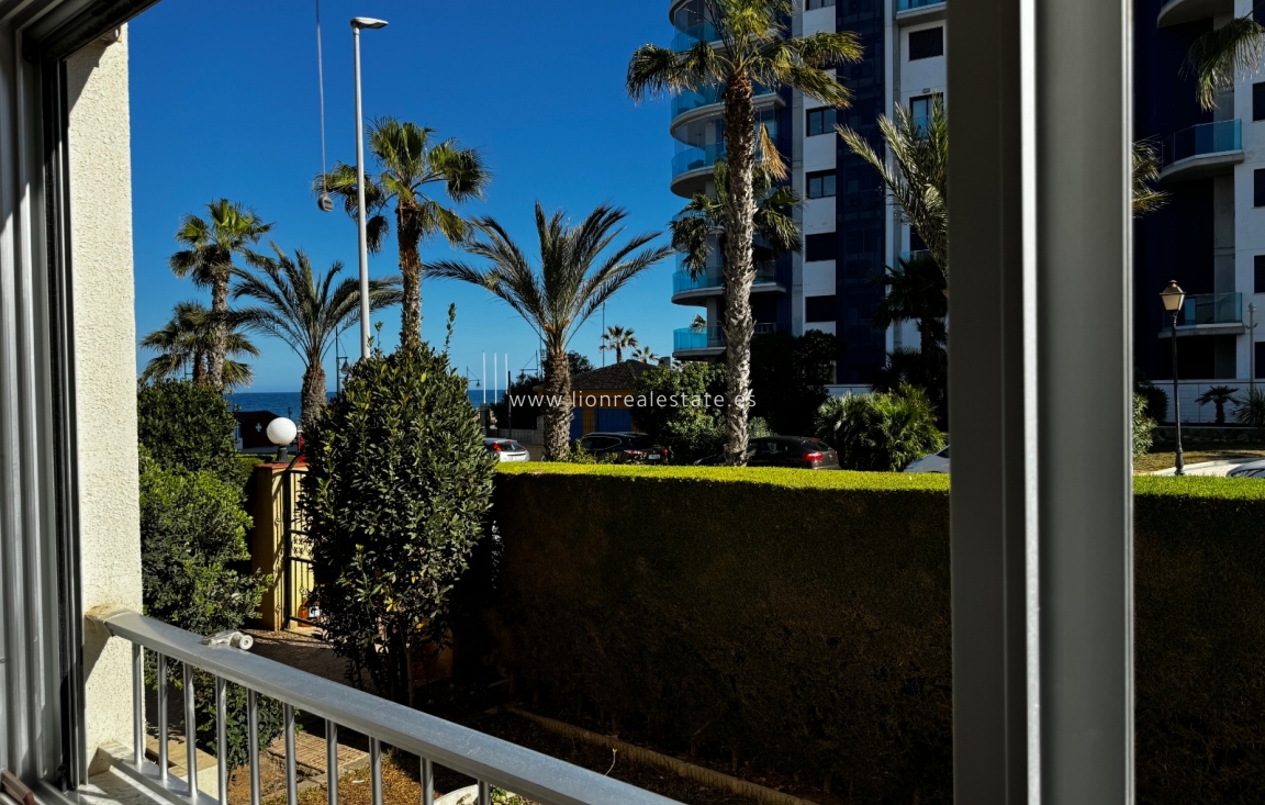 Short Term Rental - Apartment / flat - Torrevieja - Punta Prima