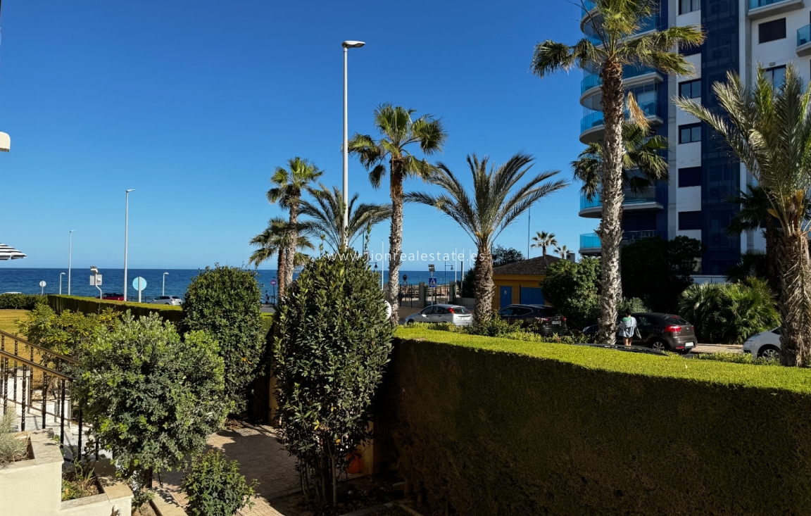 Short Term Rental - Apartment / flat - Torrevieja - Punta Prima