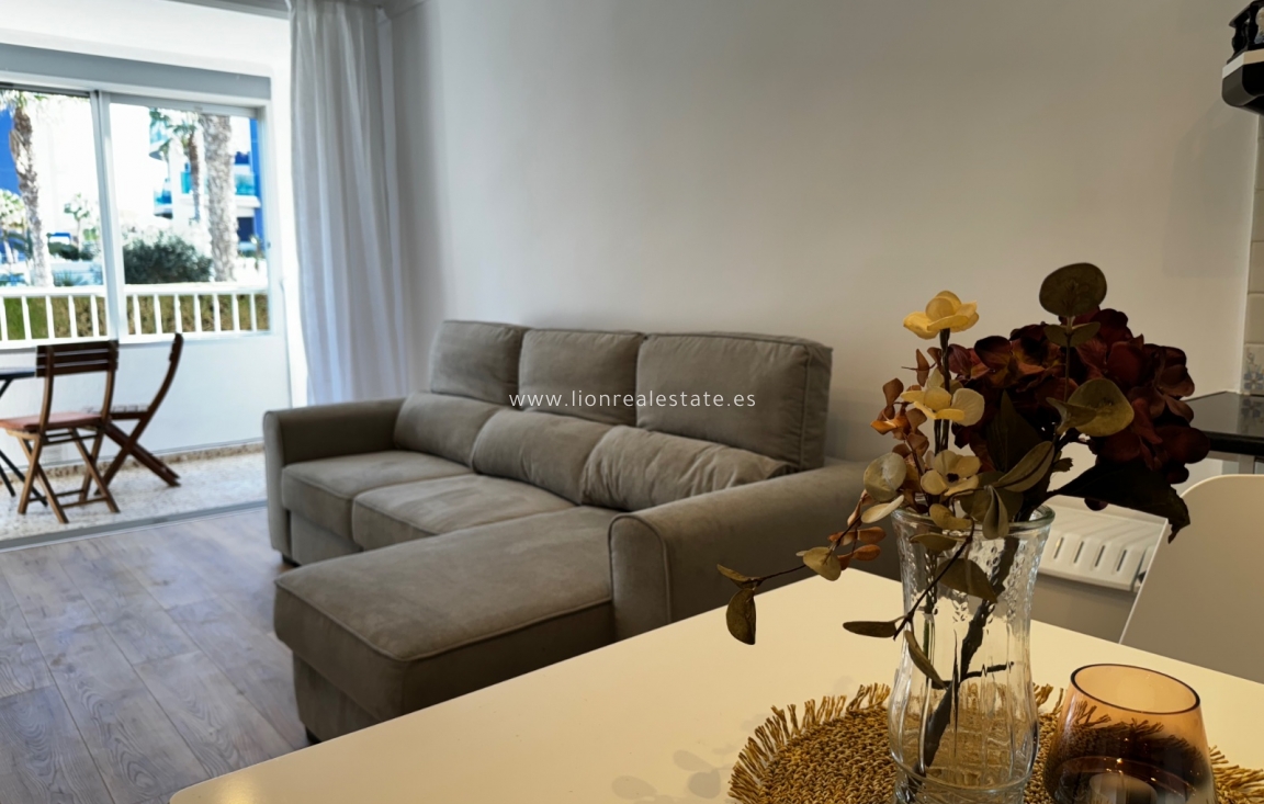 Short Term Rental - Apartment / flat - Torrevieja - Punta Prima