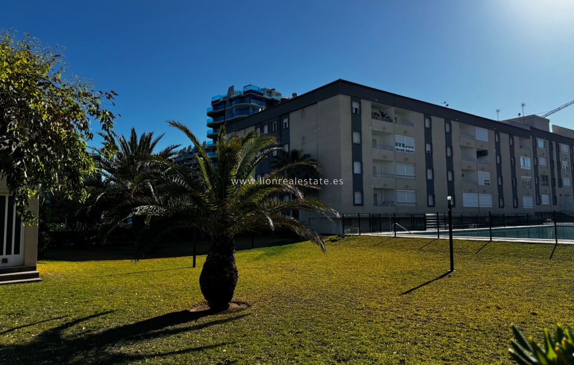 Short Term Rental - Apartment / flat - Torrevieja - Punta Prima