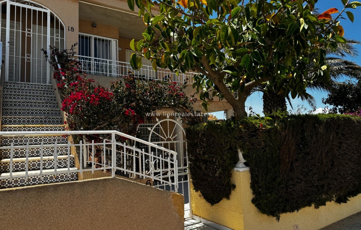 Short Term Rental - Apartment / flat - Torrevieja - Torreblanca