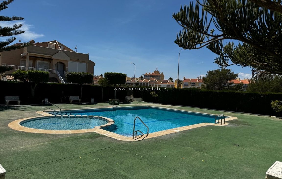 Short Term Rental - Apartment / flat - Torrevieja - Torreblanca