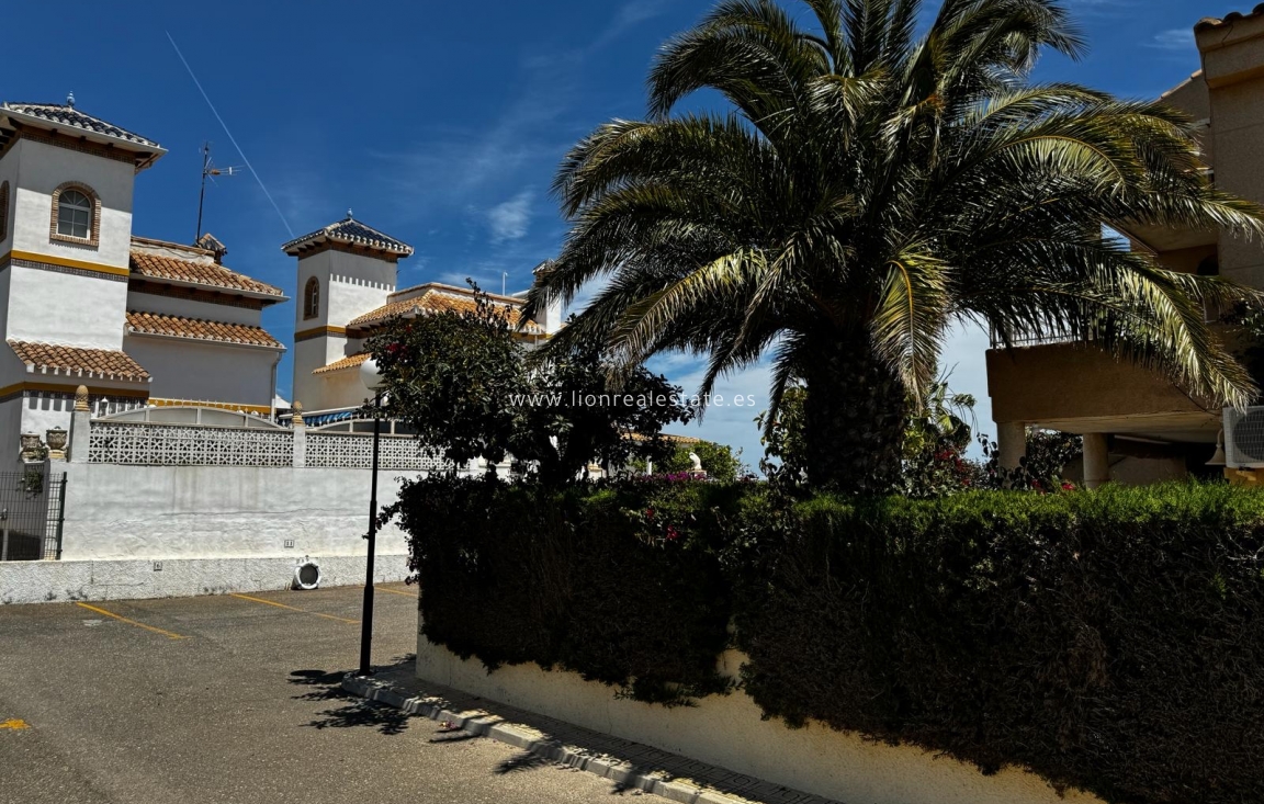 Short Term Rental - Apartment / flat - Torrevieja - Torreblanca