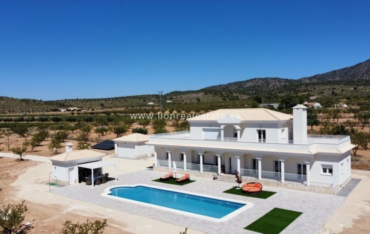 Villa - New Build - Pinoso - Camino Del Prado