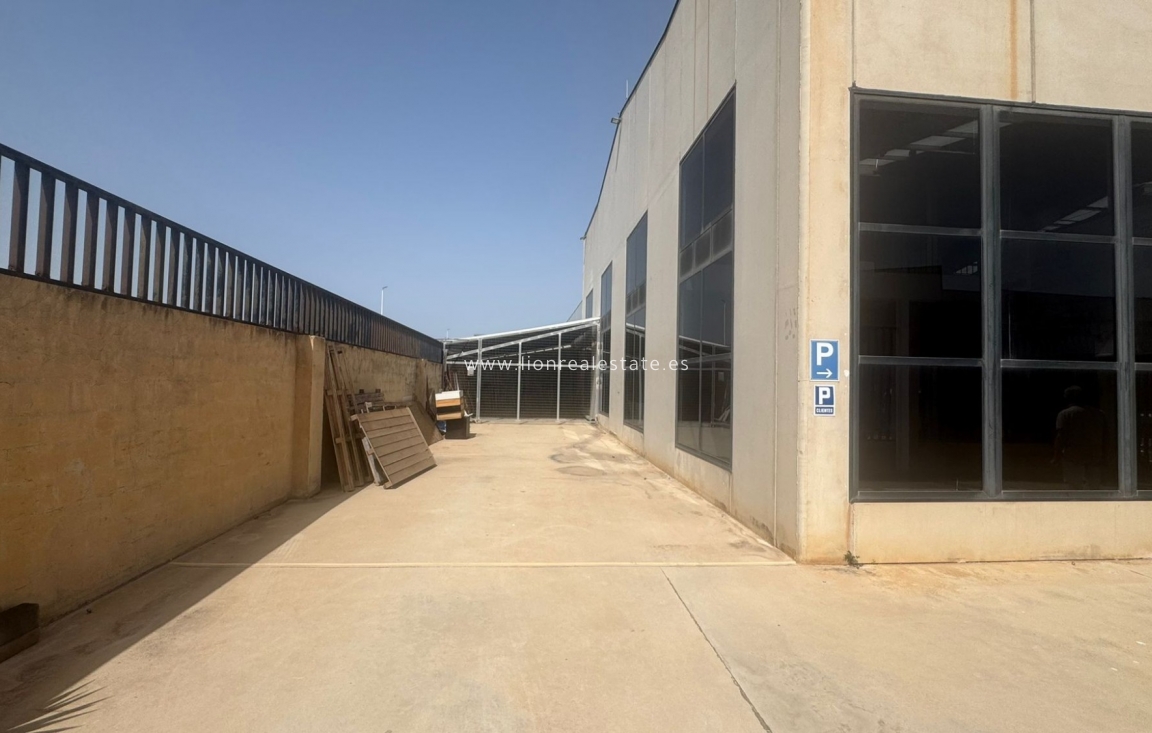 Wynajem długoterminowy - Hala przemysłowa - Torrevieja
