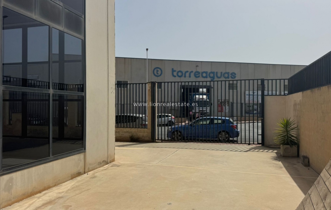 Wynajem długoterminowy - Hala przemysłowa - Torrevieja