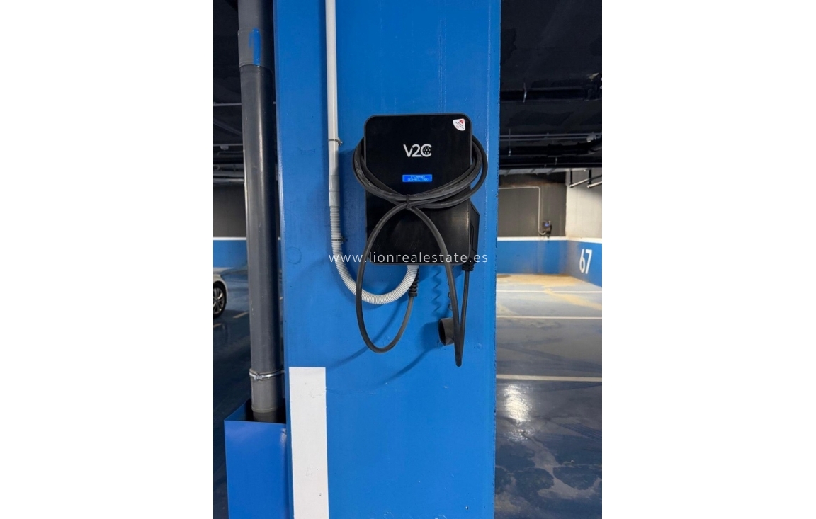 Wynajem długoterminowy - Mieszkanie w bloku - Benidorm - Playa Poniente