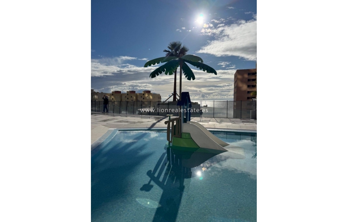 Wynajem długoterminowy - Mieszkanie w bloku - Benidorm - Playa Poniente