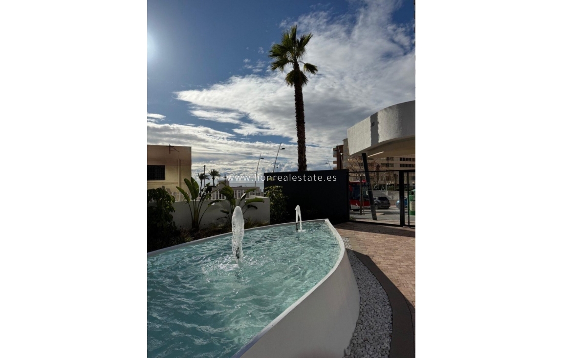 Wynajem długoterminowy - Mieszkanie w bloku - Benidorm - Playa Poniente