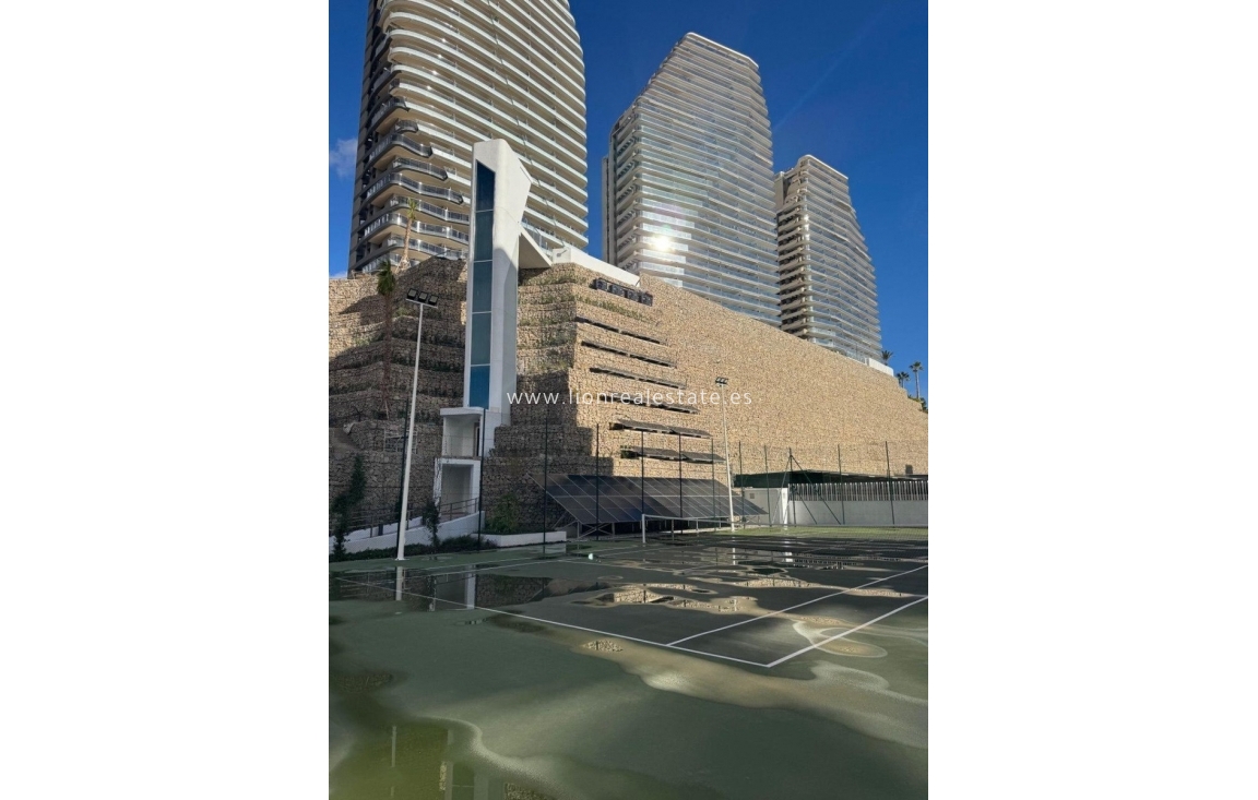 Wynajem długoterminowy - Mieszkanie w bloku - Benidorm - Playa Poniente