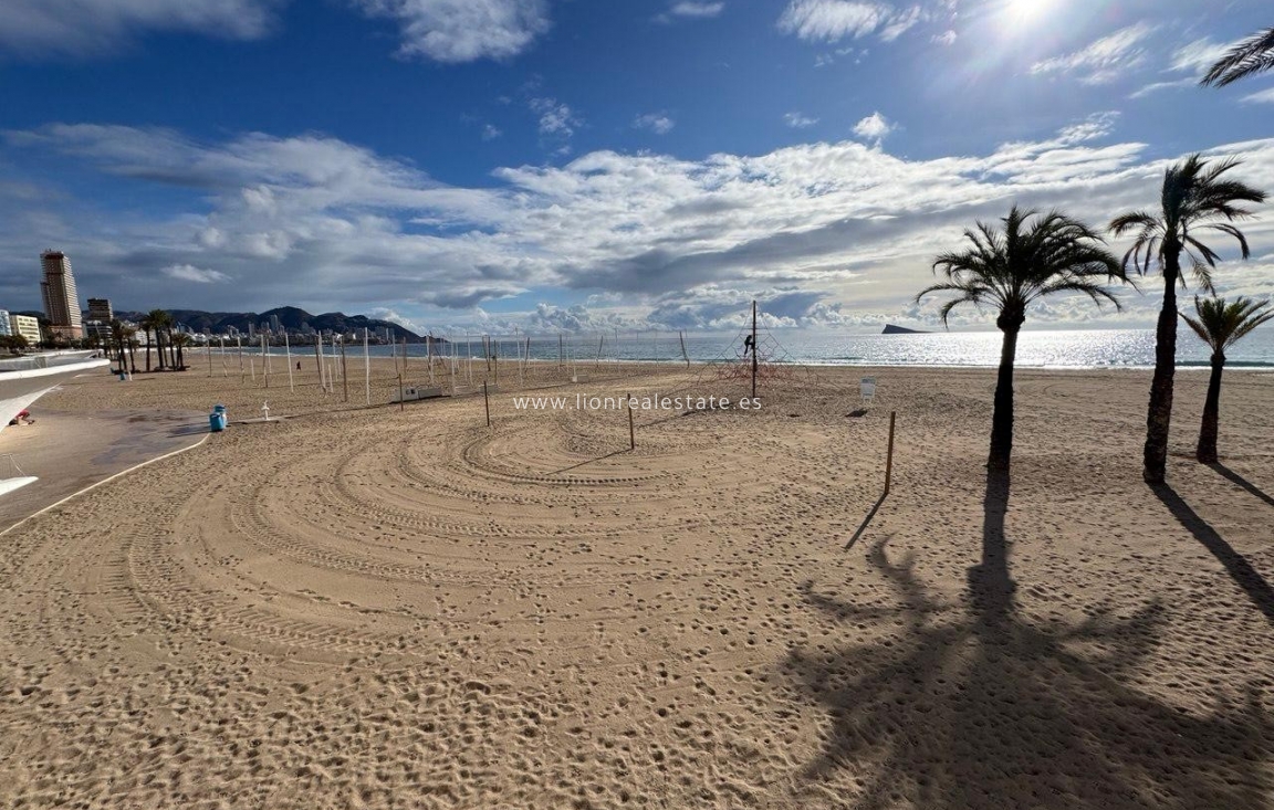 Wynajem długoterminowy - Mieszkanie w bloku - Benidorm - Playa Poniente