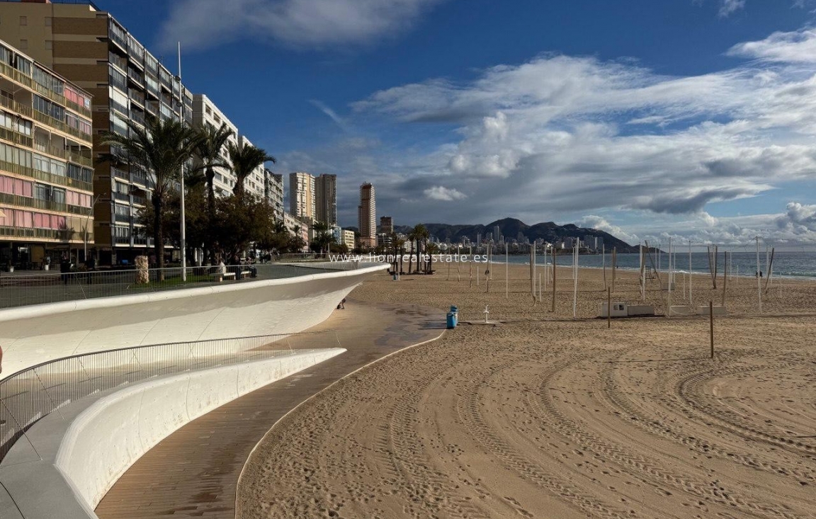 Wynajem długoterminowy - Mieszkanie w bloku - Benidorm - Playa Poniente