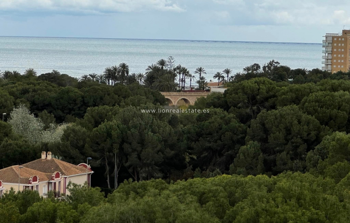 Wynajem długoterminowy - Mieszkanie w bloku - Orihuela Costa - Campoamor