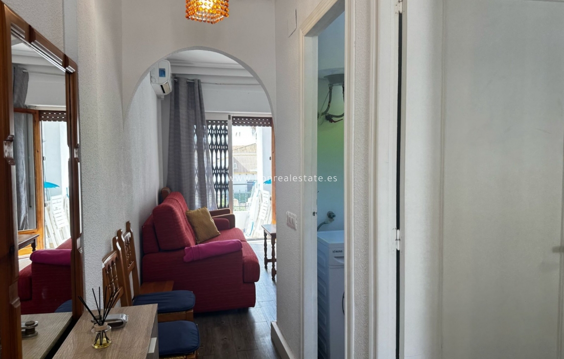 Wynajem długoterminowy - Mieszkanie w bloku - Punta Prima