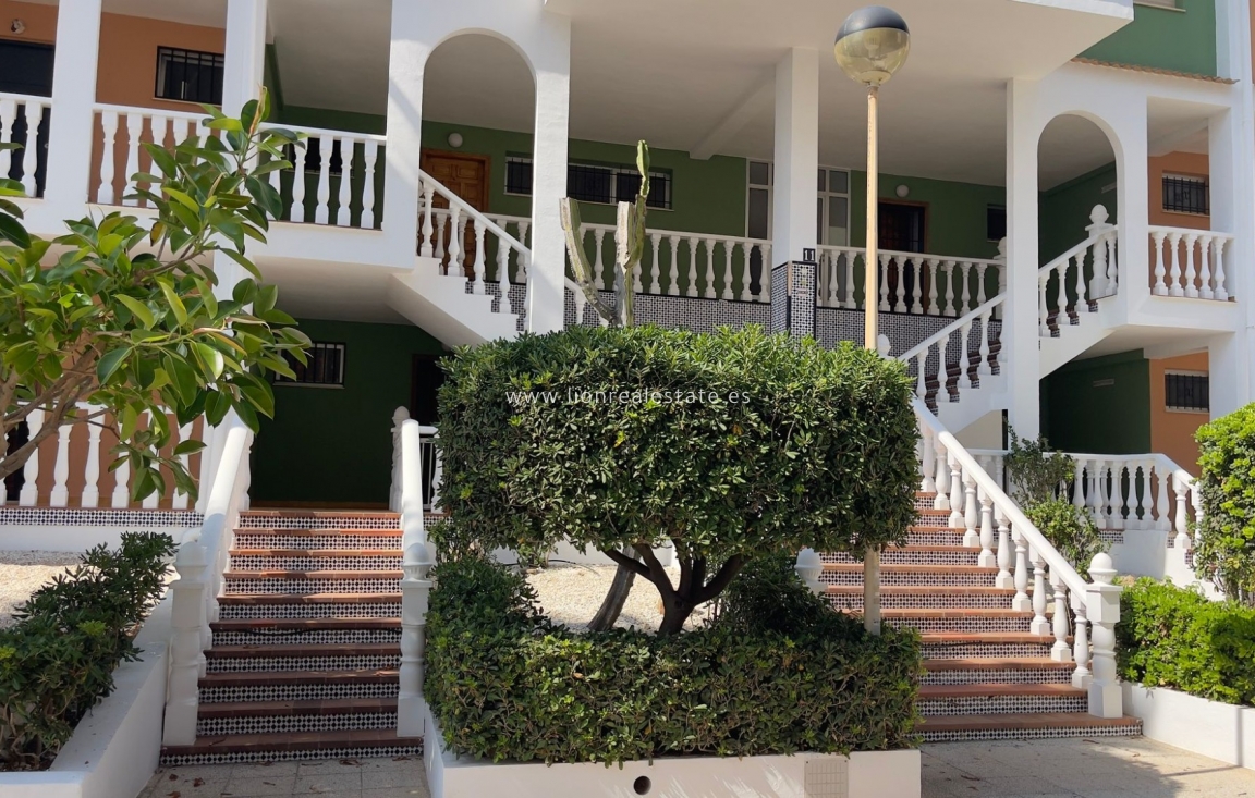 Wynajem długoterminowy - Mieszkanie w bloku - Torrevieja - La Veleta