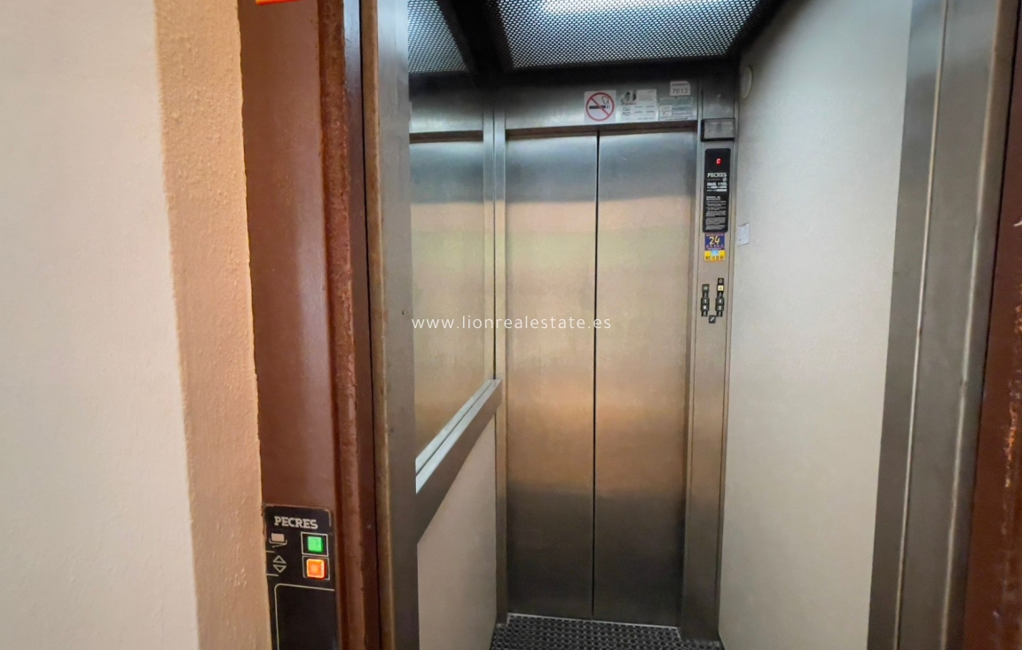 Wynajem długoterminowy - Mieszkanie w bloku - Torrevieja - La Veleta