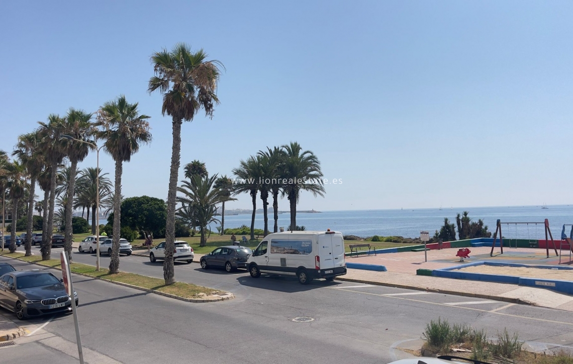 Wynajem długoterminowy - Mieszkanie w bloku - Torrevieja - La Veleta