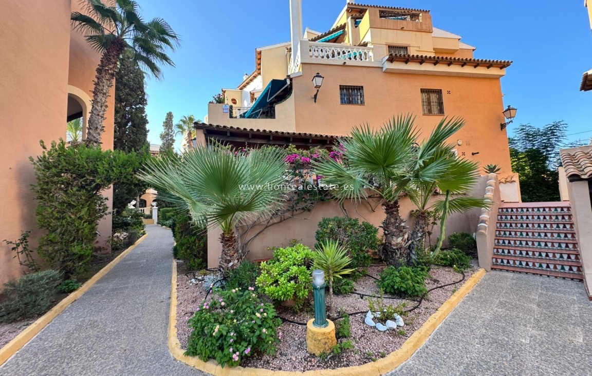 Wynajem długoterminowy - Mieszkanie w bloku - Torrevieja - Los Locos