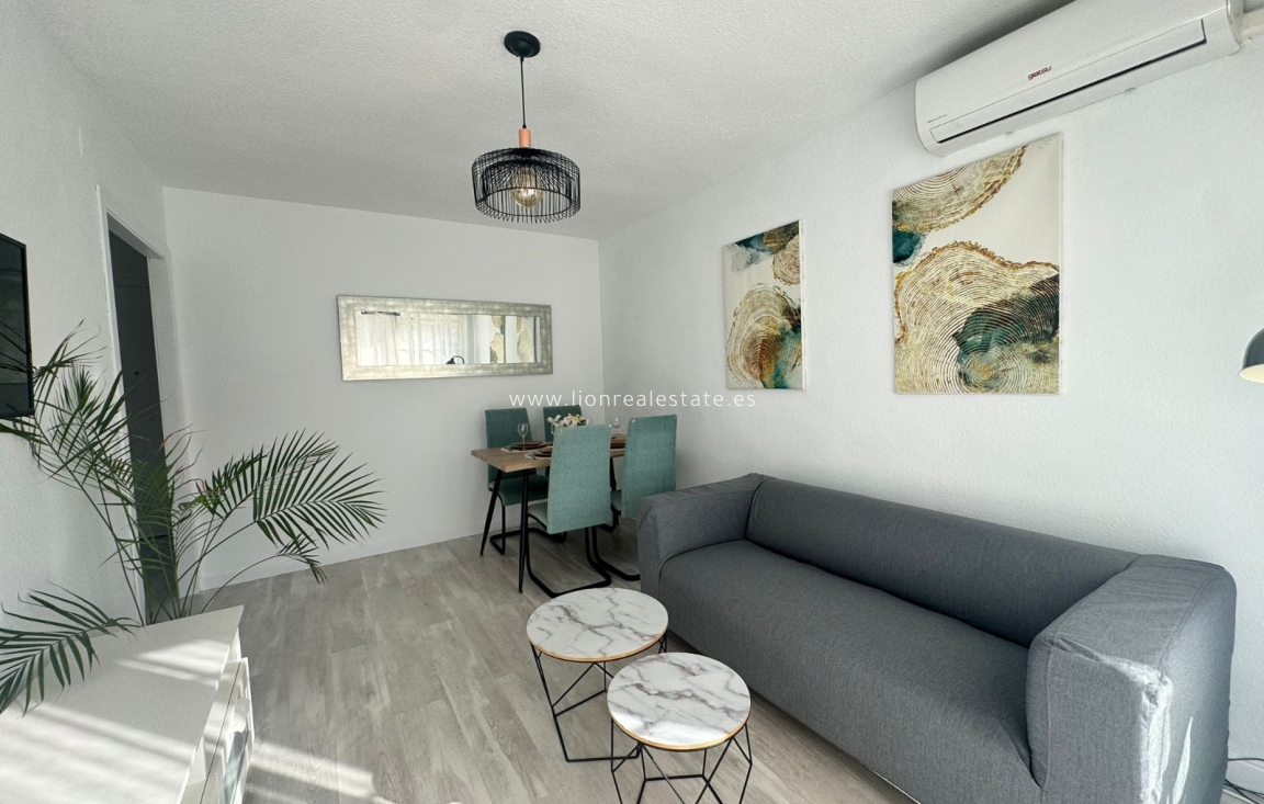 Wynajem długoterminowy - Mieszkanie w bloku - Torrevieja - Punta Prima