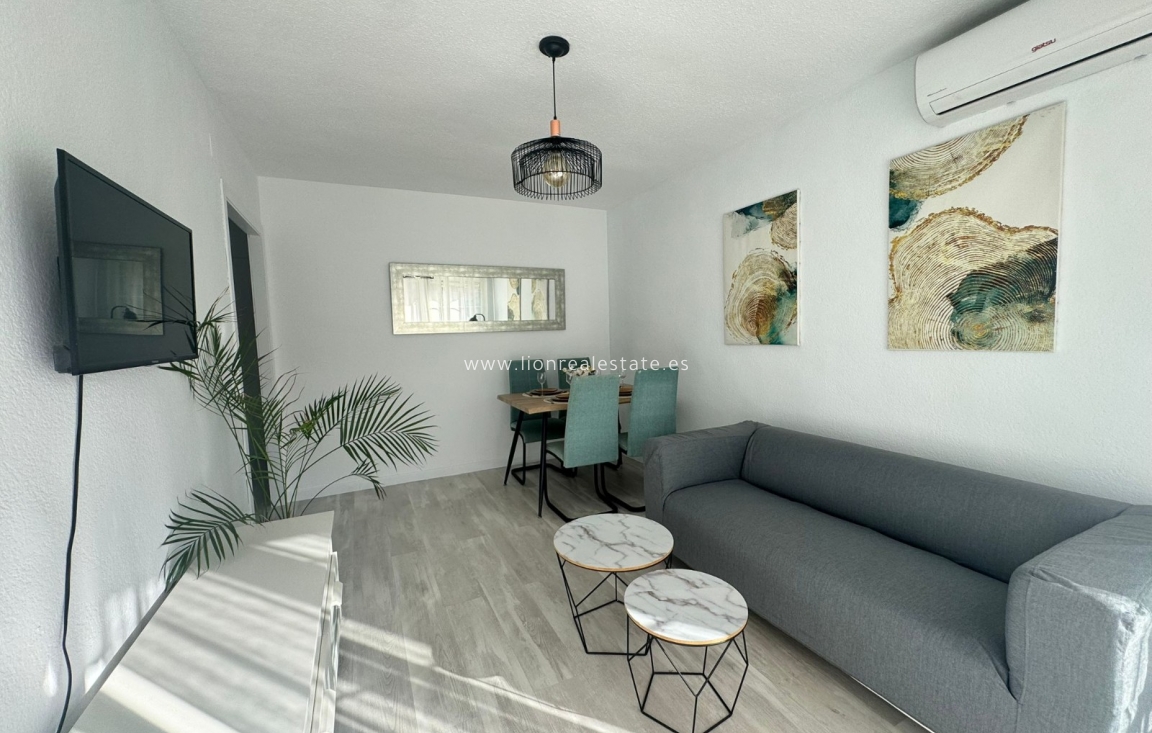 Wynajem długoterminowy - Mieszkanie w bloku - Torrevieja - Punta Prima