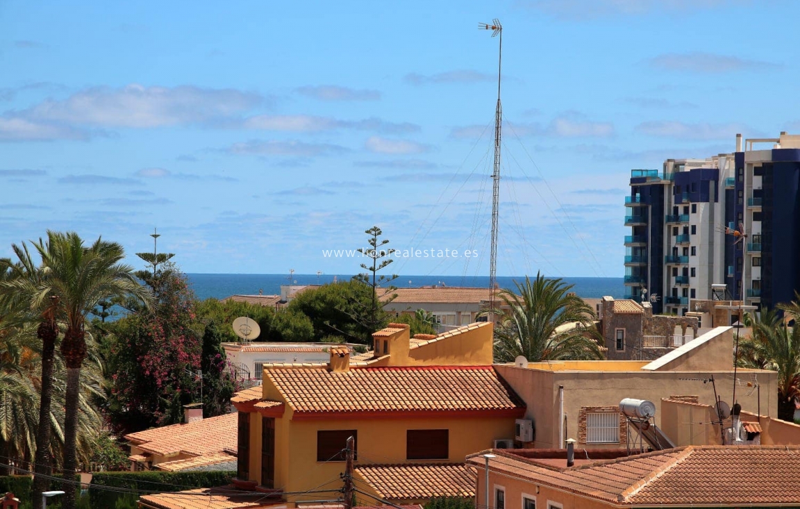 Wynajem długoterminowy - Mieszkanie w bloku - Torrevieja - Punta Prima