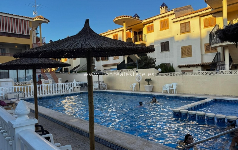 Wynajem długoterminowy - Mieszkanie w bloku - Torrevieja - Torreblanca