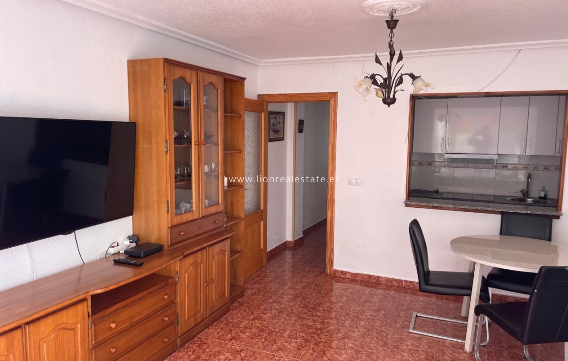 Wynajem długoterminowy - Mieszkanie w bloku - Torrevieja