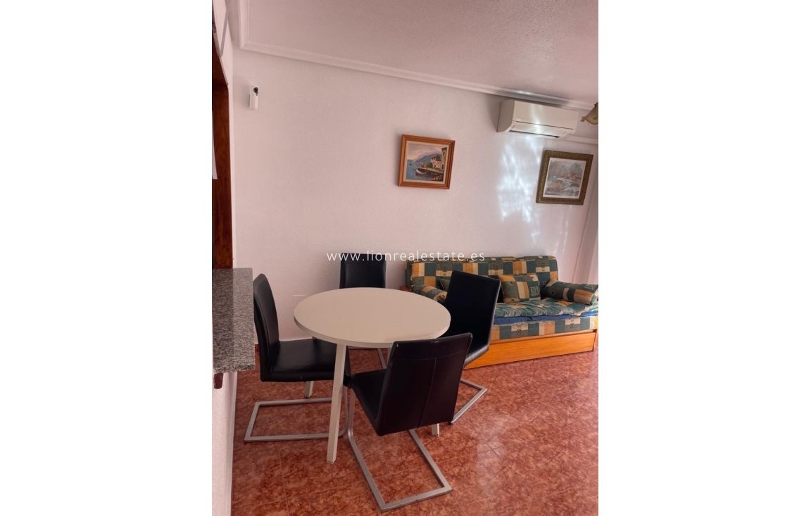 Wynajem długoterminowy - Mieszkanie w bloku - Torrevieja
