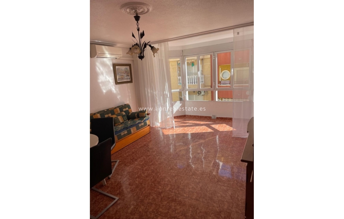 Wynajem długoterminowy - Mieszkanie w bloku - Torrevieja