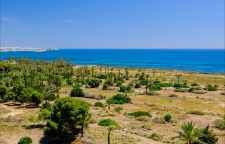 Long Term Rental - Apartment / flat - Punta Prima